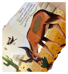 İlk Dokun Hisset Kitabım Cöle Dokun 🏜️