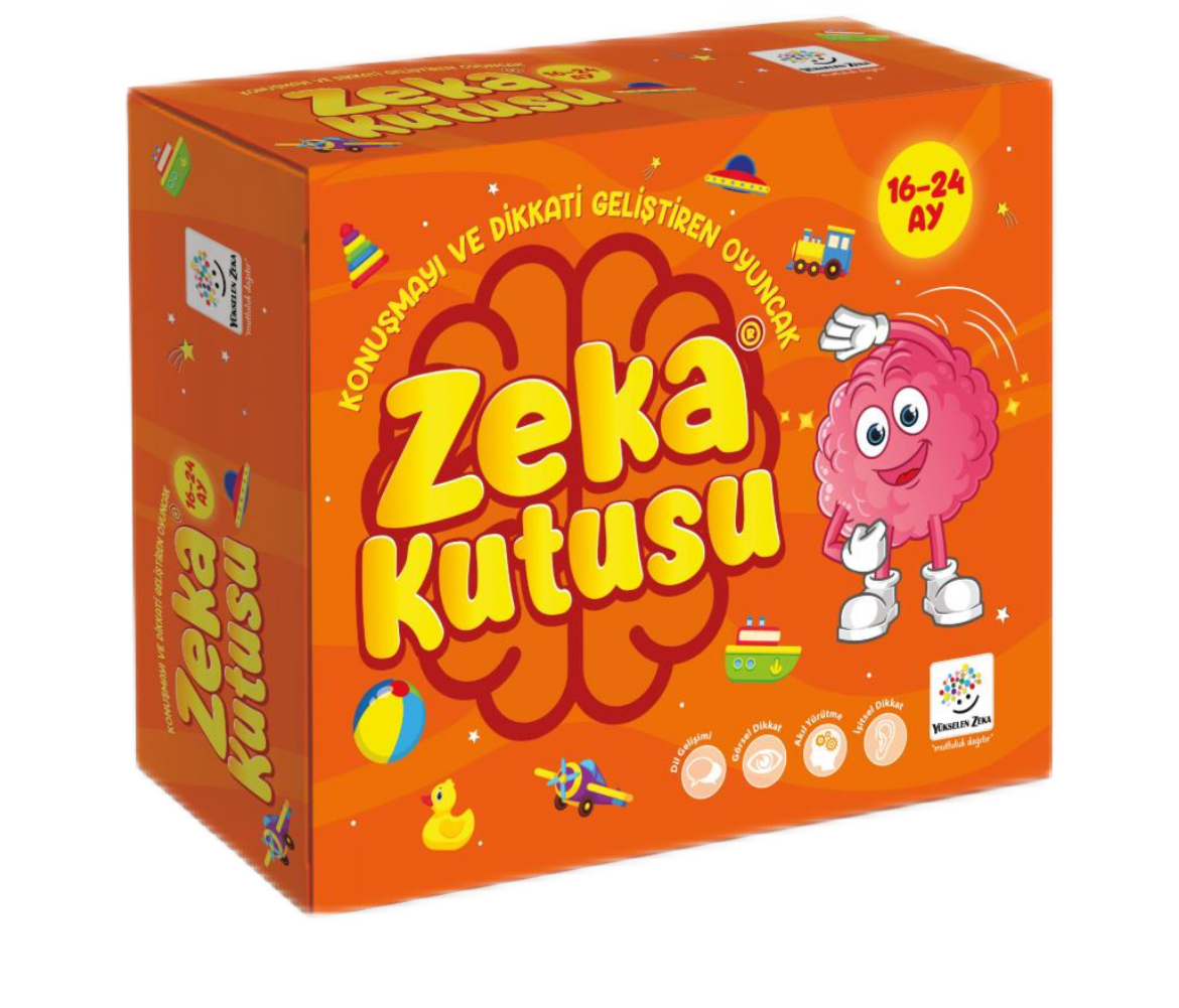 Zeka Kutusu 16-24 Ay