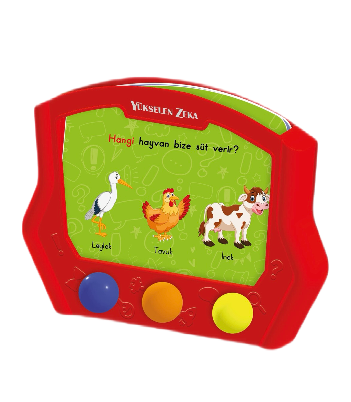 Konuşturan Oyuncak (16-24 Ay)
